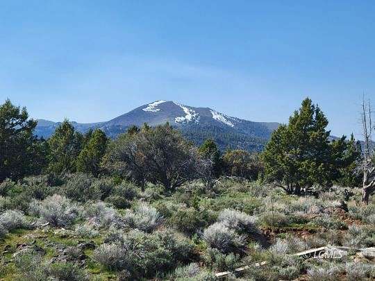 40 Acres of Agricultural Land for Sale in Plush, Oregon