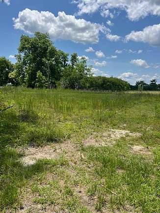 Residential Land for Sale in Blackshear, Georgia