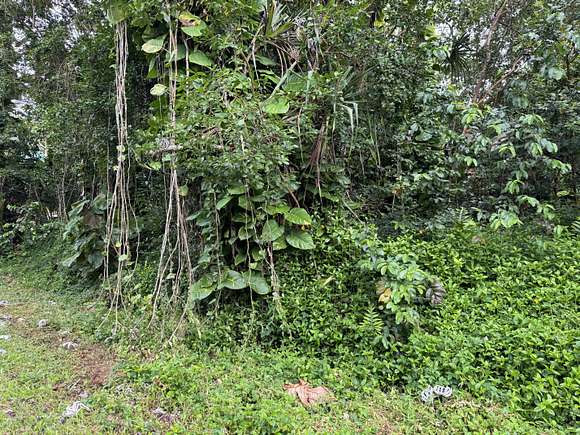 0.21 Acres of Land for Sale in Pahoa, Hawaii