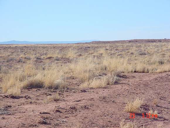 40.3 Acres of Land for Sale in Winslow, Arizona