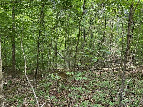 41 Acres of Recreational Land for Sale in Adolphus, Kentucky