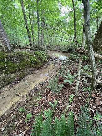 35 Acres of Recreational Land for Sale in Adolphus, Kentucky
