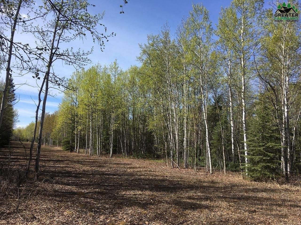 5 Acres of Residential Land for Sale in Delta Junction, Alaska