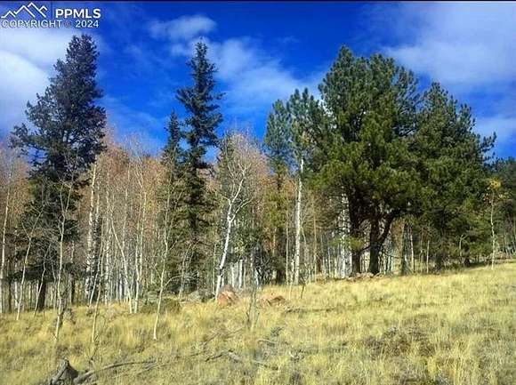 1.02 Acres of Land for Sale in Florissant, Colorado