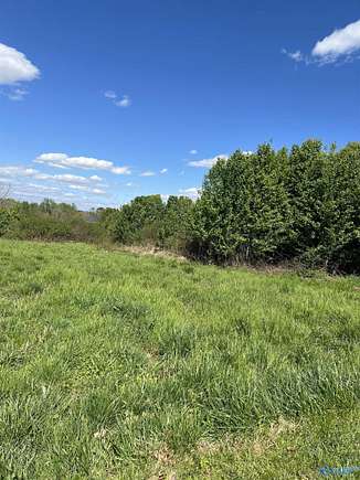 17.4 Acres of Land for Sale in Albertville, Alabama