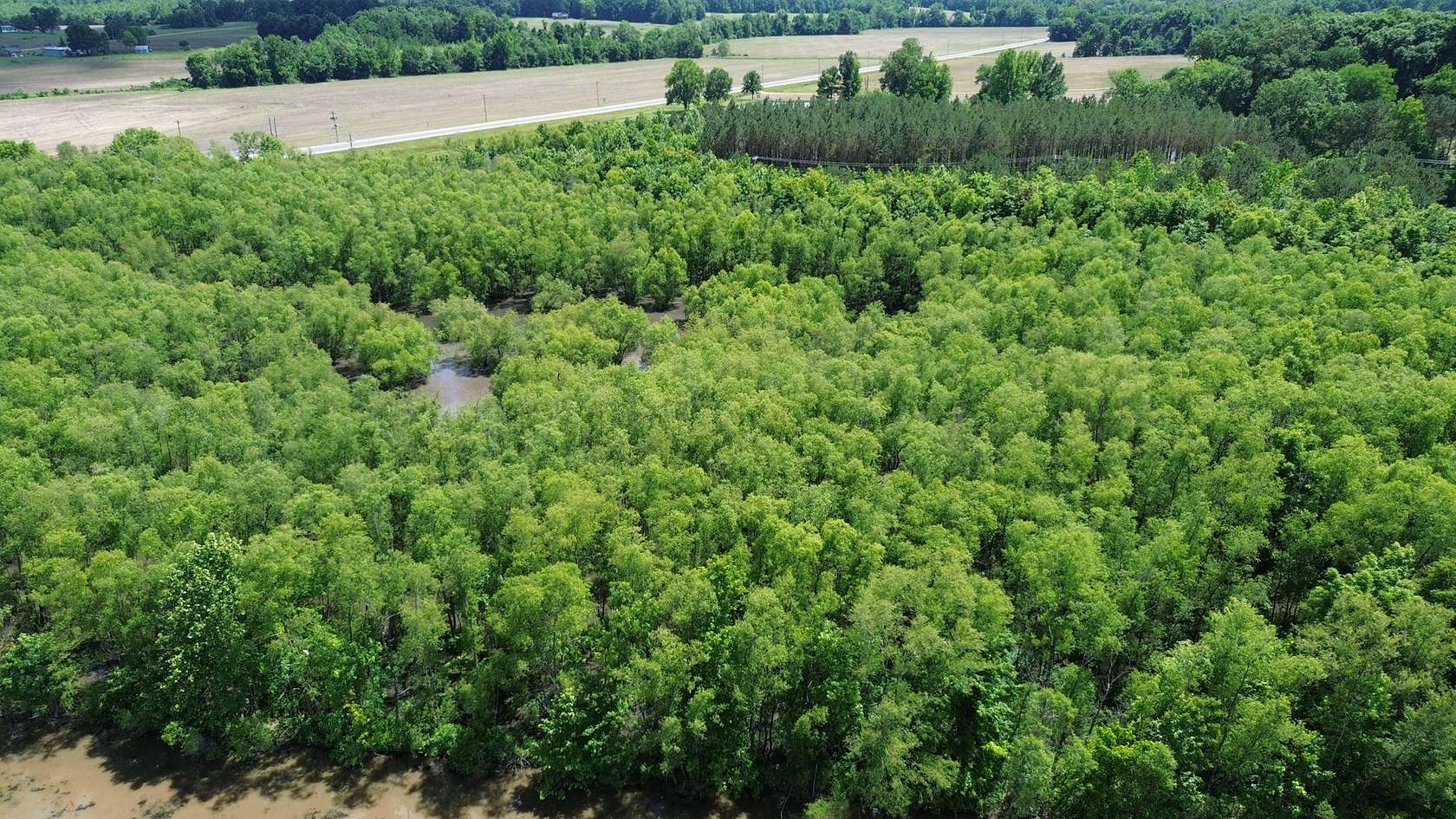 17 Acres of Land for Sale in Morris Chapel, Tennessee