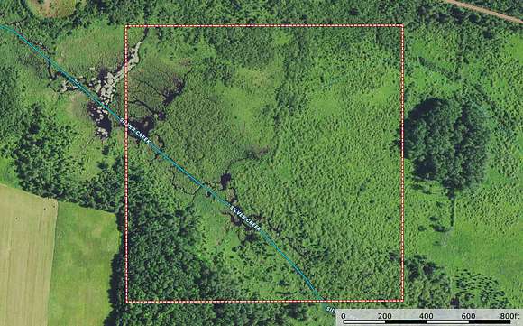 40 Acres of Land for Sale in Automba, Minnesota