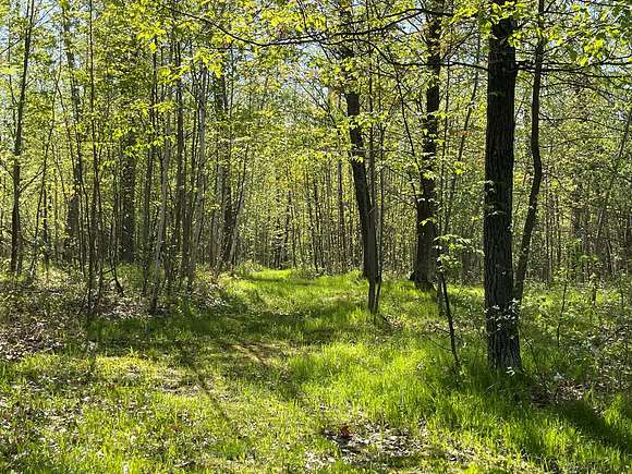10 Acres of Land for Sale in Askov, Minnesota