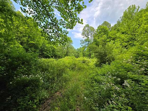 9.9 Acres of Land for Sale in Scarbro, West Virginia