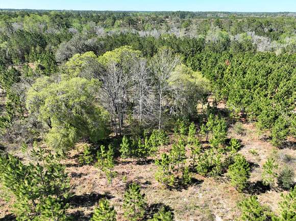 30 Acres of Recreational Land for Sale in Folkston, Georgia