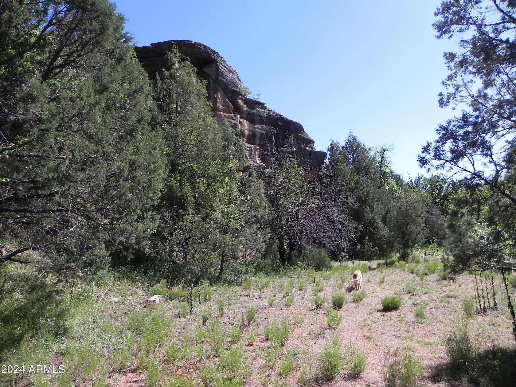 4.13 Acres of Residential Land for Sale in Payson, Arizona