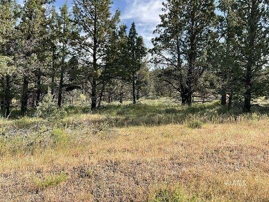 1.8 Acres of Residential Land for Sale in Alturas, California