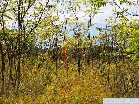 80 Acres of Recreational Land for Sale in Livingston, New York