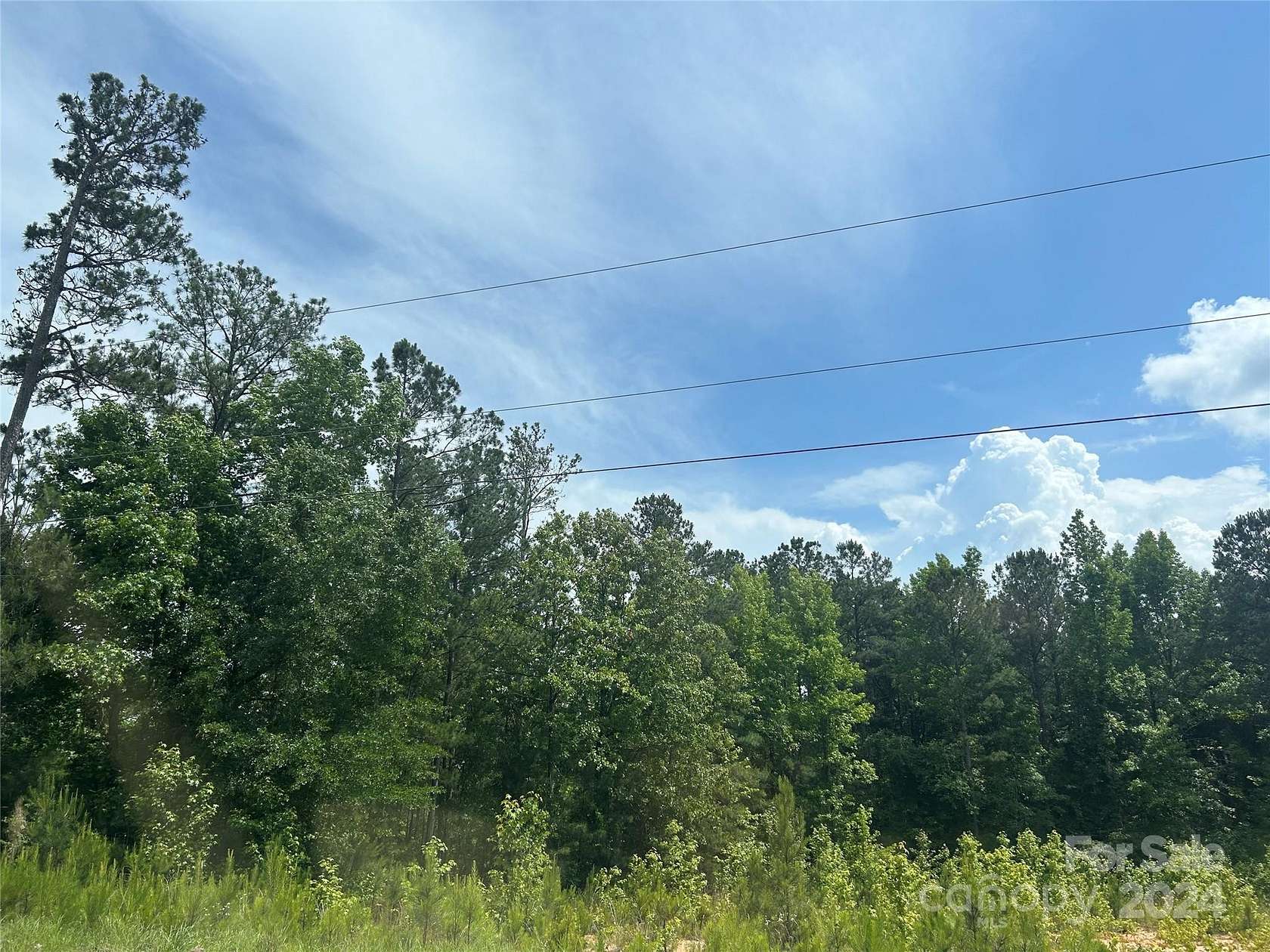 3 Acres of Residential Land for Sale in Winnsboro, South Carolina