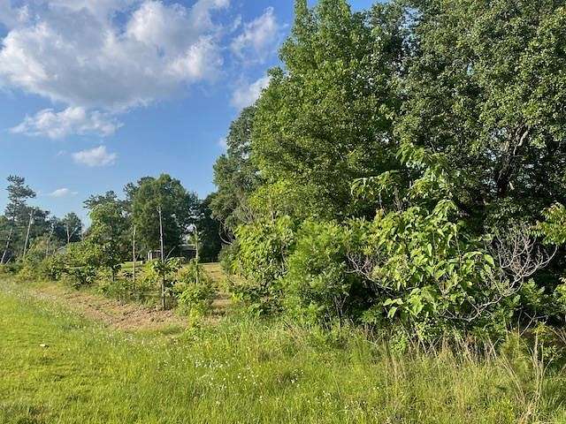 1 Acre of Residential Land for Sale in Carriere, Mississippi