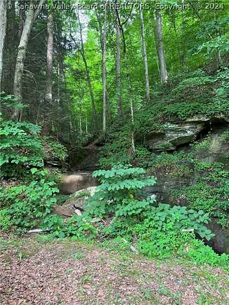 27 Acres of Recreational Land for Sale in Elkview, West Virginia