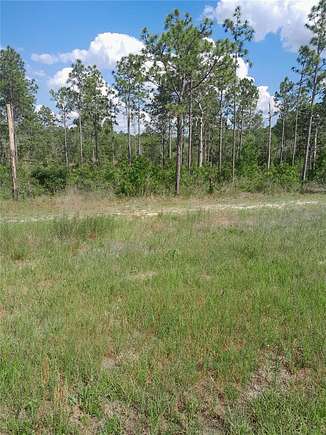 76.77 Acres of Recreational Land & Farm for Sale in Morriston, Florida