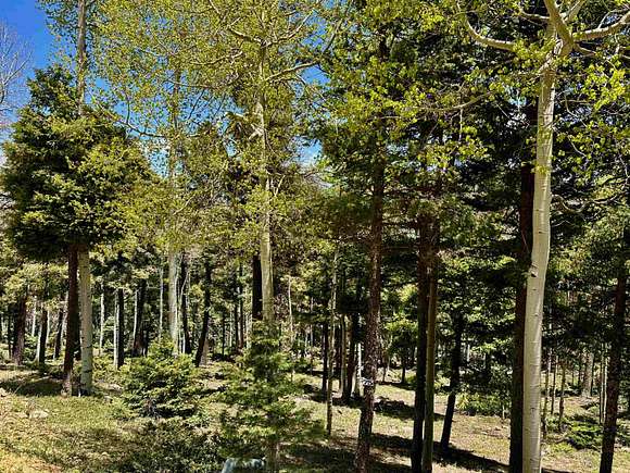 5 Acres of Residential Land for Sale in Angel Fire, New Mexico