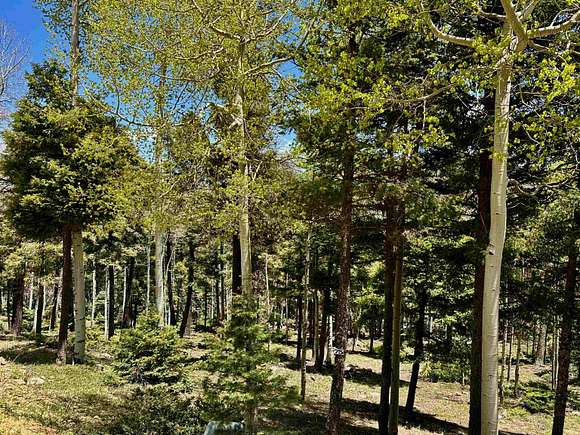 5.01 Acres of Residential Land for Sale in Angel Fire, New Mexico