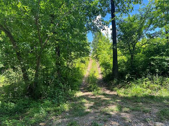 27.5 Acres of Recreational Land & Farm for Sale in Leoma, Tennessee