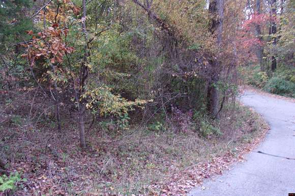 Residential Land for Sale in Lakeview, Arkansas