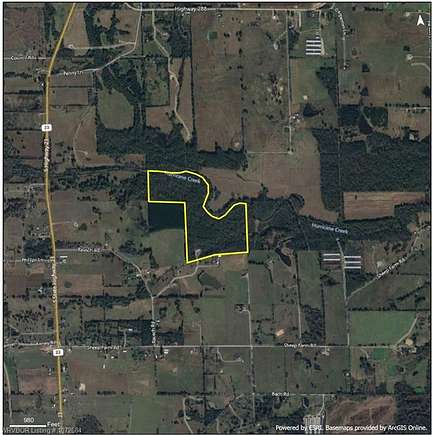 78 Acres of Recreational Land for Sale in Ratcliff, Arkansas