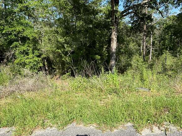 0.41 Acres of Residential Land for Sale in DeFuniak Springs, Florida