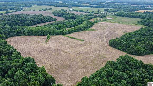 26.2 Acres of Agricultural Land for Sale in Princeton, Kentucky