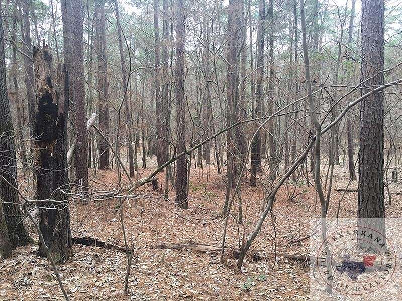 15.9 Acres of Land for Sale in Texarkana, Texas