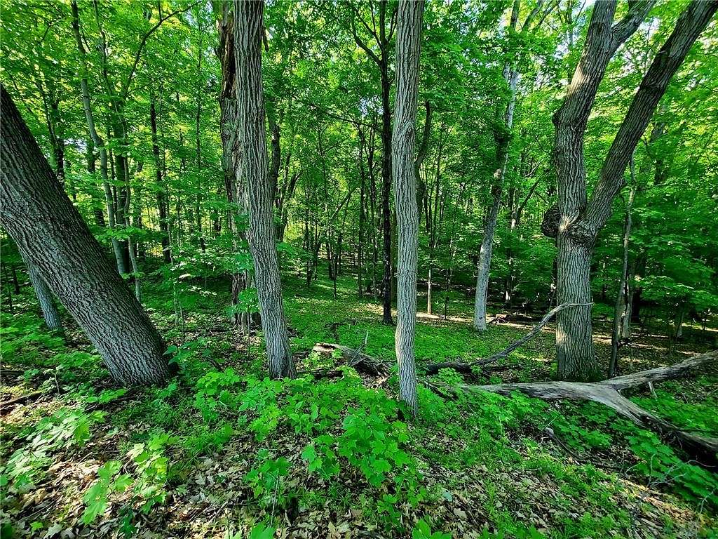 0.33 Acres of Residential Land for Sale in St. Croix Falls, Wisconsin