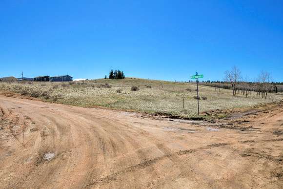 1.08 Acres of Residential Land for Auction in Divide, Colorado