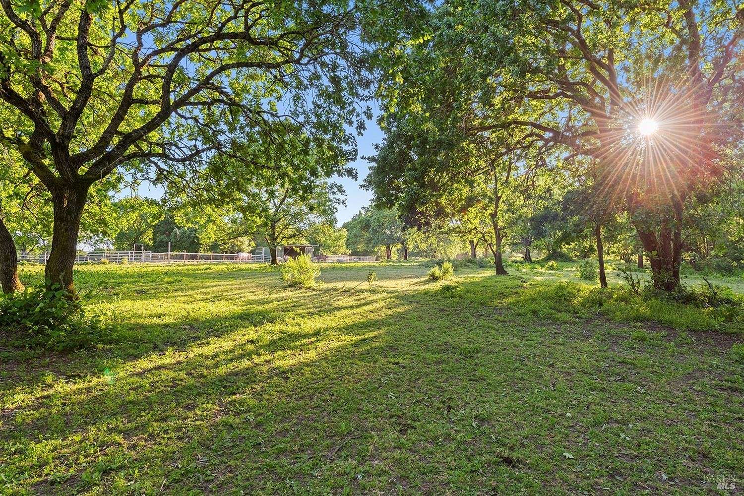 27.45 Acres of Agricultural Land for Sale in Sebastopol, California