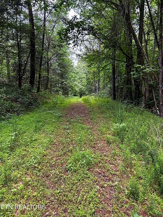 139 Acres of Recreational Land for Sale in Madisonville, Tennessee