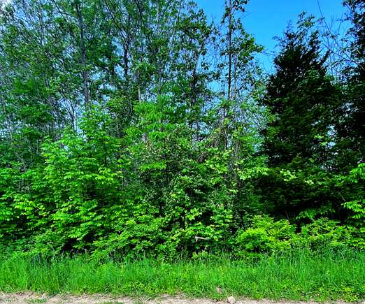 1.12 Acres of Residential Land for Sale in Coloma, Michigan