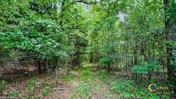 55 Acres of Recreational Land for Sale in Wrens, Georgia