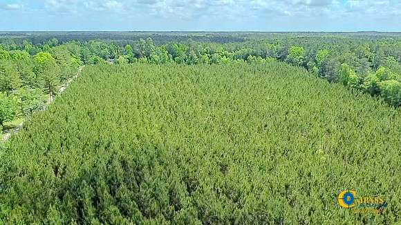 10 Acres of Recreational Land for Sale in Ruffin, South Carolina