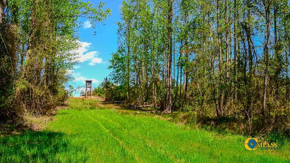48 Acres of Recreational Land for Sale in Jefferson, South Carolina
