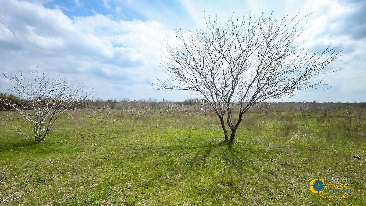 11 Acres of Recreational Land for Sale in Lockhart, Texas