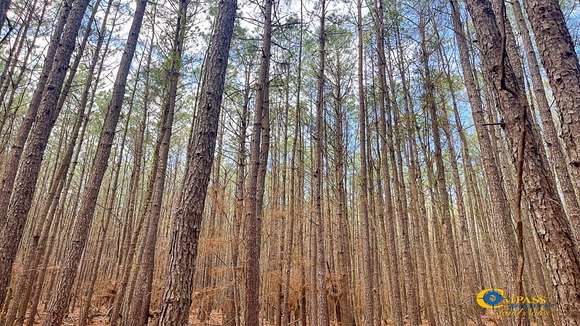 18 Acres of Recreational Land for Sale in Pine Bluff, Arkansas