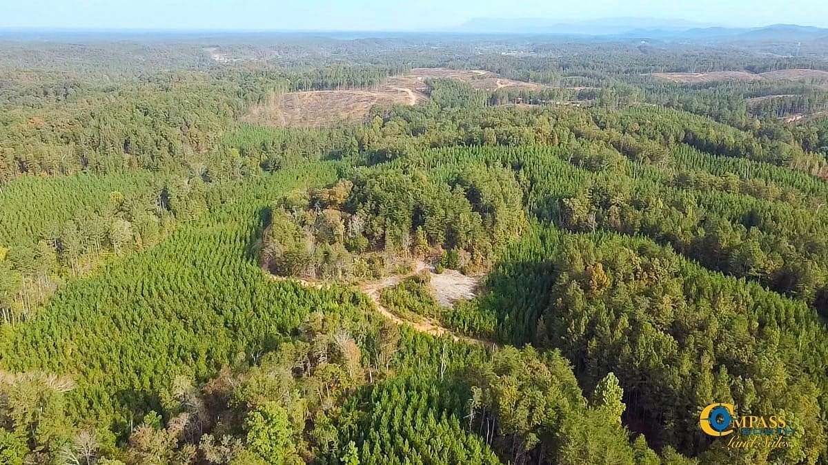 584 Acres of Recreational Land for Sale in Fairmount, Georgia