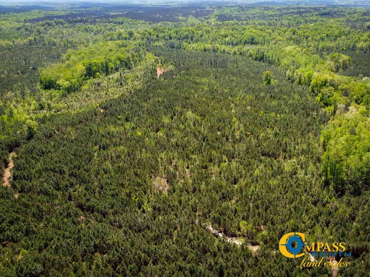 202 Acres of Recreational Land for Sale in Glenn, Georgia