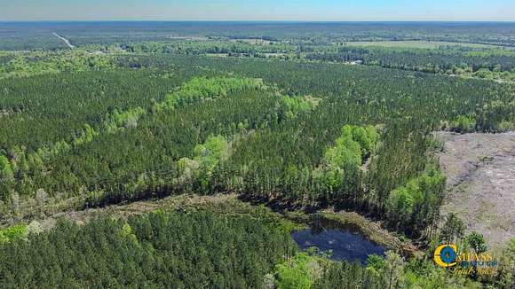 205 Acres of Recreational Land for Sale in Westville, South Carolina