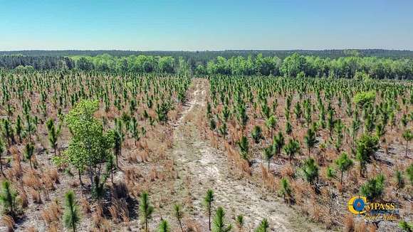 223 Acres of Recreational Land for Sale in Cassatt, South Carolina