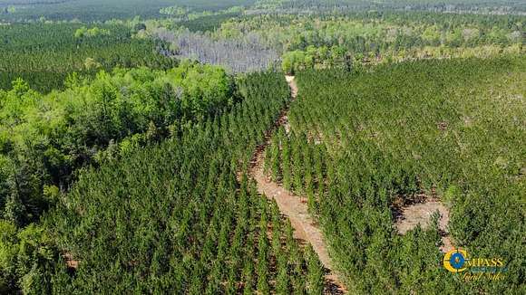 165 Acres of Recreational Land for Sale in Cassatt, South Carolina