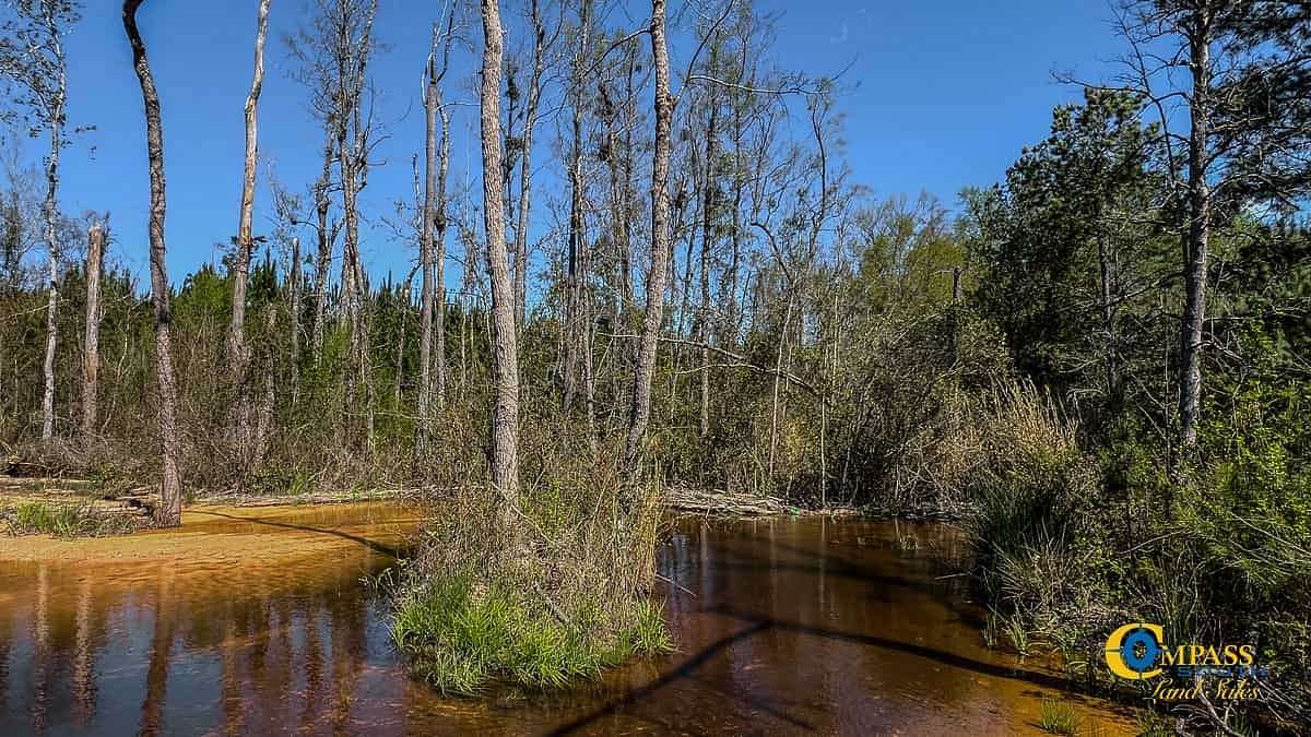 208 Acres of Recreational Land for Sale in Cassatt, South Carolina