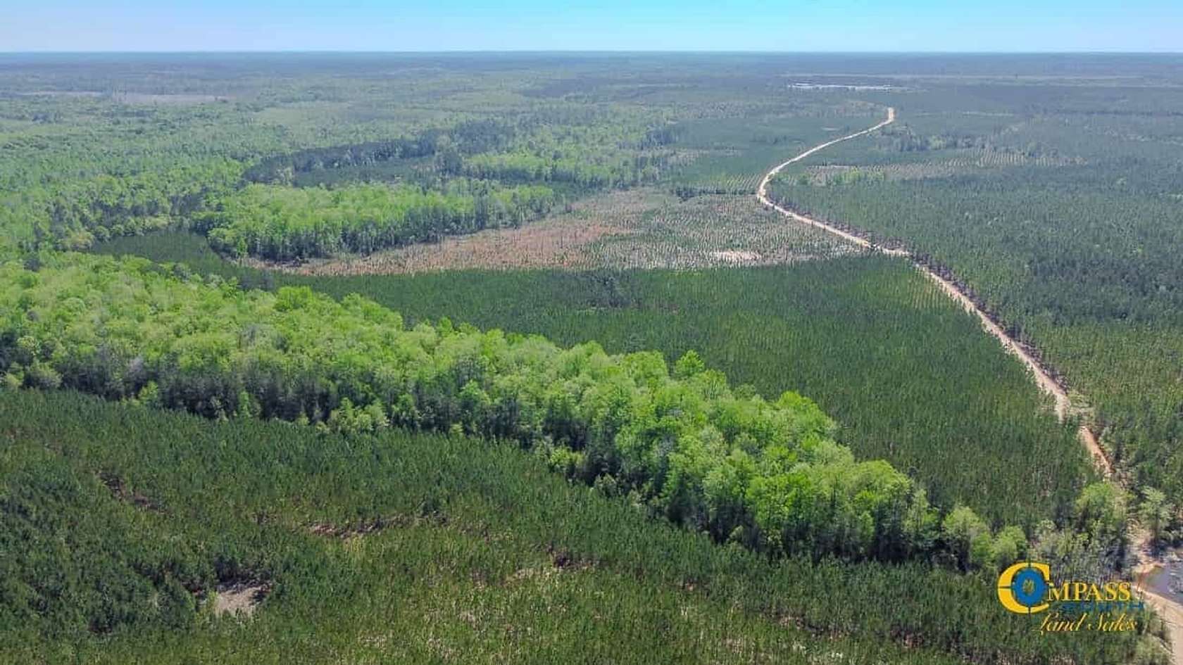 208 Acres of Recreational Land for Sale in Cassatt, South Carolina