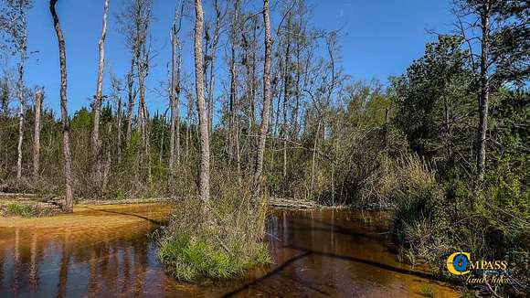 208 Acres of Recreational Land for Sale in Cassatt, South Carolina