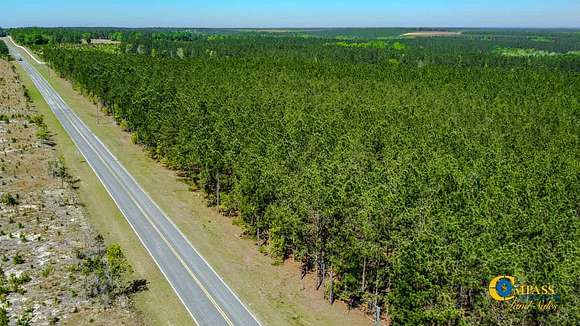 21 Acres of Recreational Land for Sale in Kershaw, South Carolina