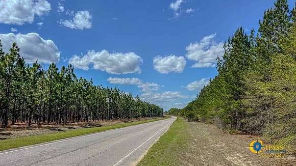 59 Acres of Recreational Land for Sale in Westville, South Carolina