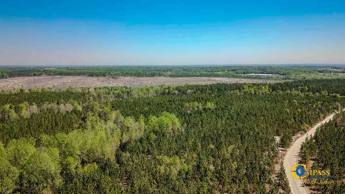 98 Acres of Recreational Land for Sale in Jefferson, South Carolina